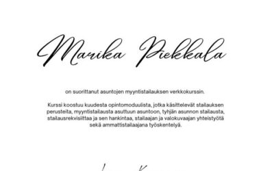 Ammattistailaajan lisäopinnot