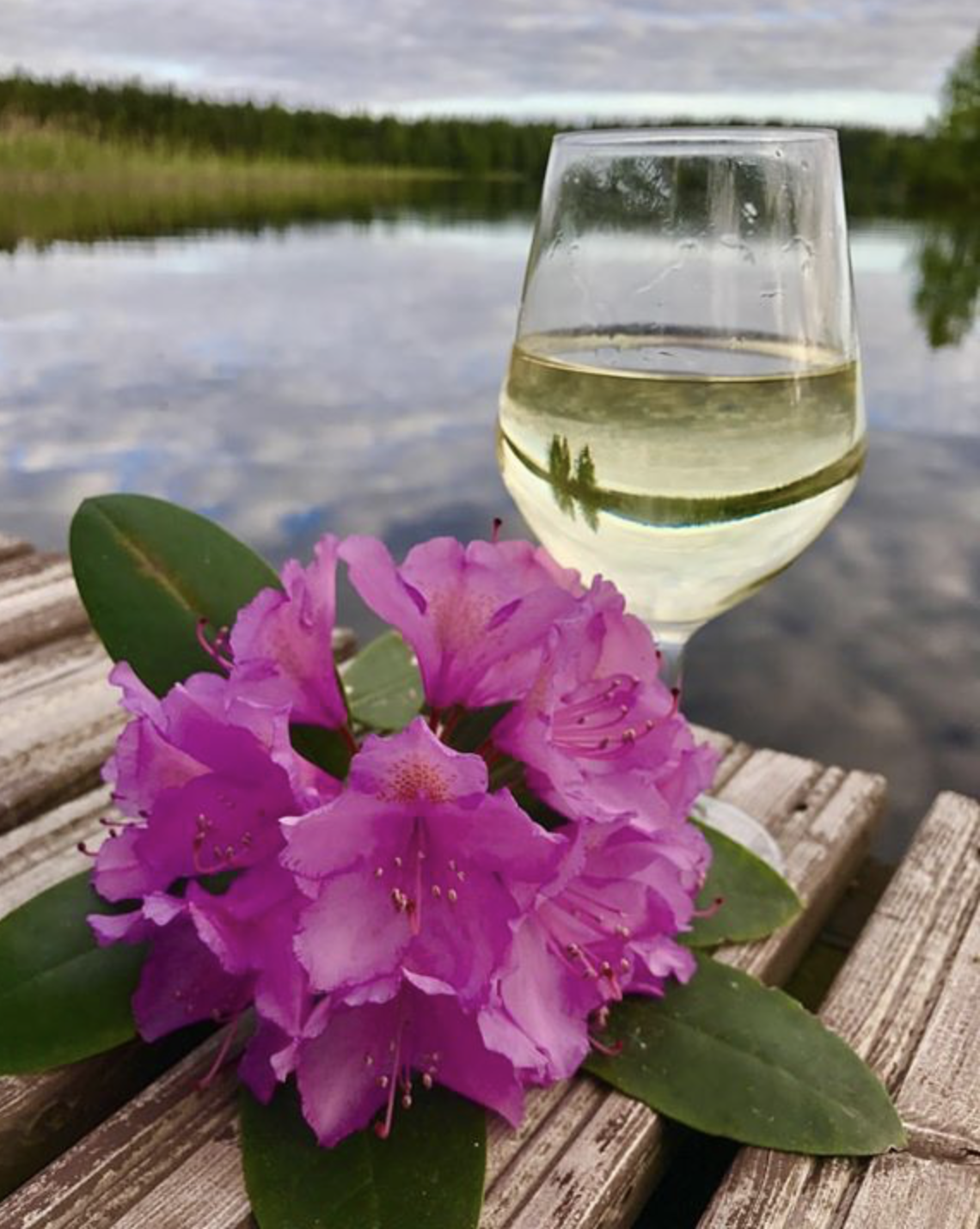 Tilasuunnittelua Somerolla, tilasuunnittelija Marika Piekkala, vanhasta kellaritiloista tuli SPA, sauna, wc, oleskelutila, käytävä ja kodinhoitohuone. Pintasuunnittelu ja valaistussuunnittelu, sekä kiintokalustesuunnittelu, kalusteiden etsintää ja yhteensovittamista, sekä stailausta. Katso myös ennen kuvat lähtökohdista. Sisustussuunnittelija Marika Piekkala, Tampere, Somero, Turku ja Helsinki.